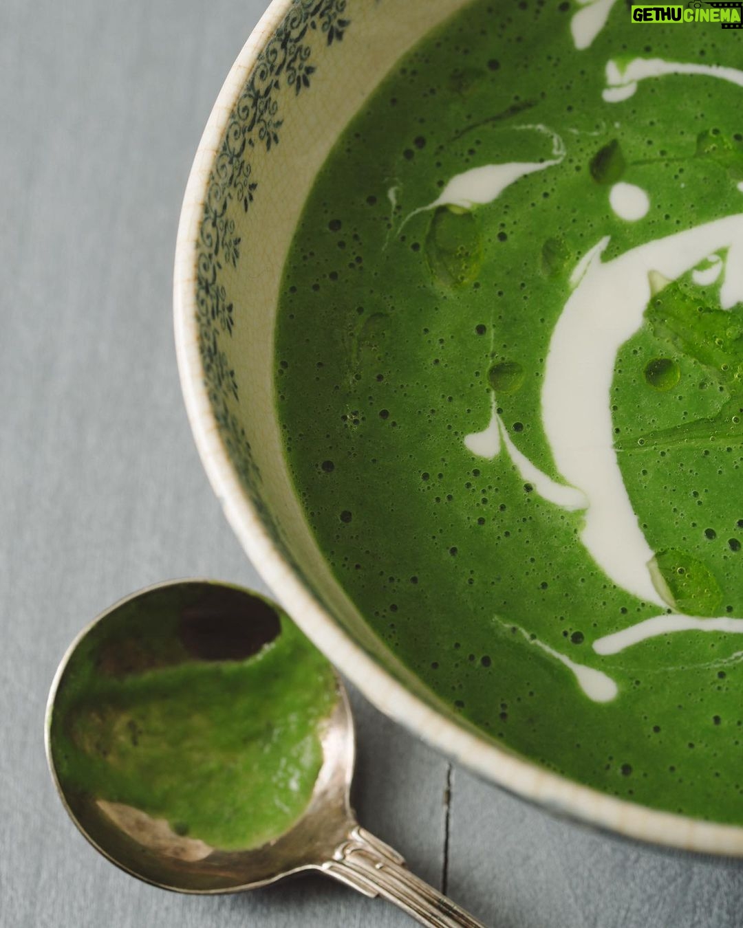 Tiffani Thiessen Instagram - Happy St. Patrick’s Day my friends! Serving up this gorgeous Spring Pea Soup for this ☘️ holiday. #recipe in #pullupachair