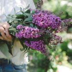 Tiffani Thiessen Instagram - Lilacs are starting to bloom 🥰
