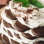 Tiffani Thiessen Instagram - It’s Girl Scout Cookie season and that means my “Girl Scout Cookie Ice Box Cake” is about to be made and eaten people! #recipe in my book #pullupachair