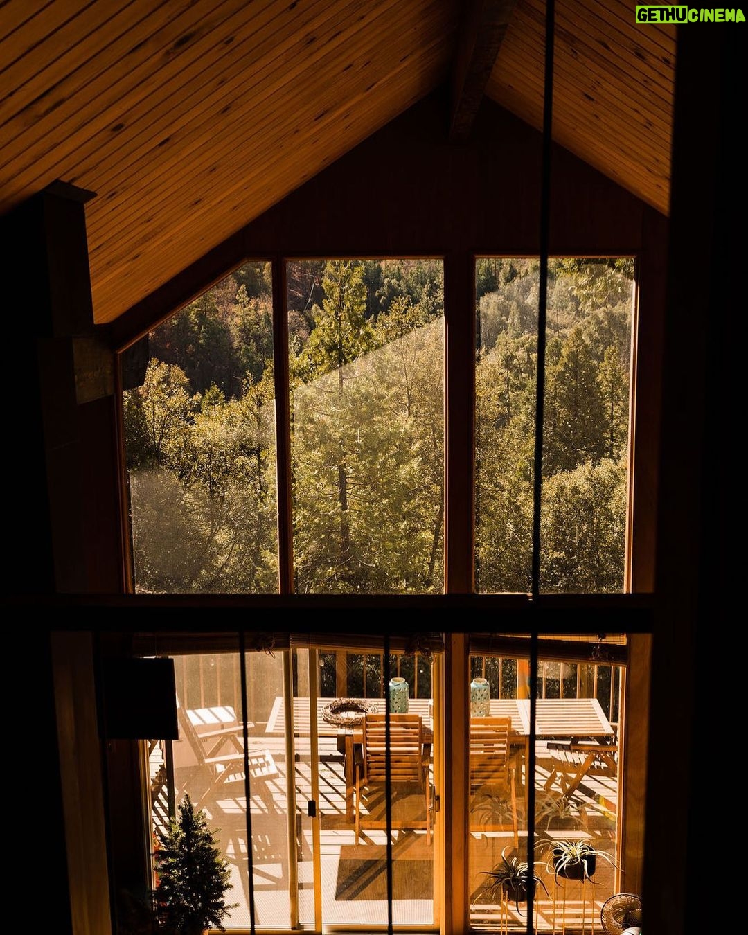 Tiffani Thiessen Instagram - Morning view from bed 🌲 Sequoia National Forest