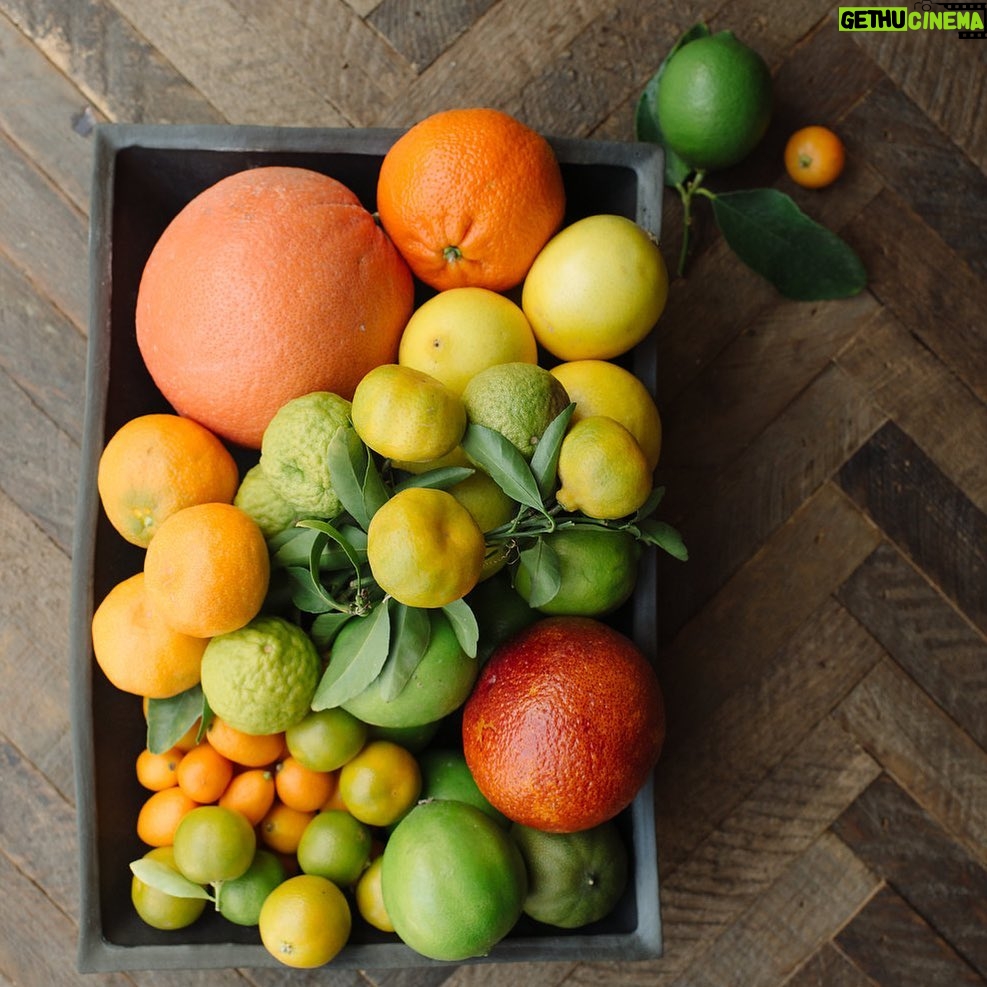 Tiffani Thiessen Instagram - Citrus Season in full effect!!! 🍊🍋