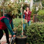 Tiffani Thiessen Instagram - Gardening is a passion of mine, but like everyone, there's always more to learn, and I'll happily get advice from @Loweshomeimprovement to help my garden grow. #AD  With the help of Lowe’s and their red vest associate Pati, my avocado trees are well on their way to blooming to their full potential this season. What gardening projects are you taking on this spring? #LowesPartner #LowesGoals