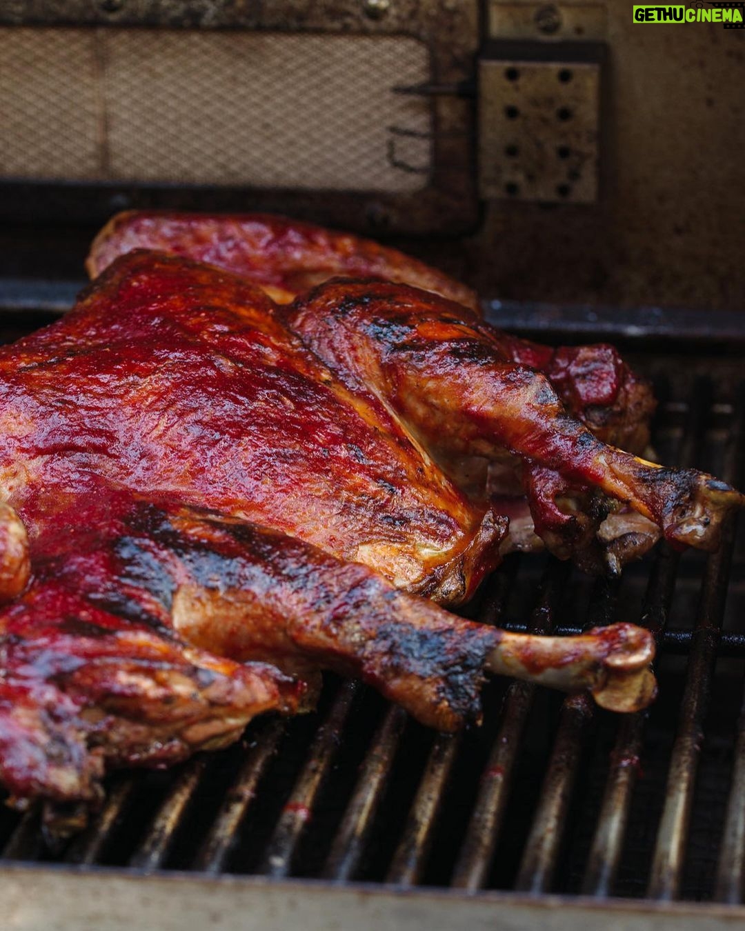 Tiffani Thiessen Instagram - Gobble Gobble! 🦃Thanksgiving countdown has begun. I’m gonna give you tons of great recipes this entire next week that I can promise you are huge crowd pleasers. First off, the star of the day… Turkey! Check out some of my favorite recipes here and on my #blog 👩🏻🍳#thanksgiving #holidays #recipes #linkinbio