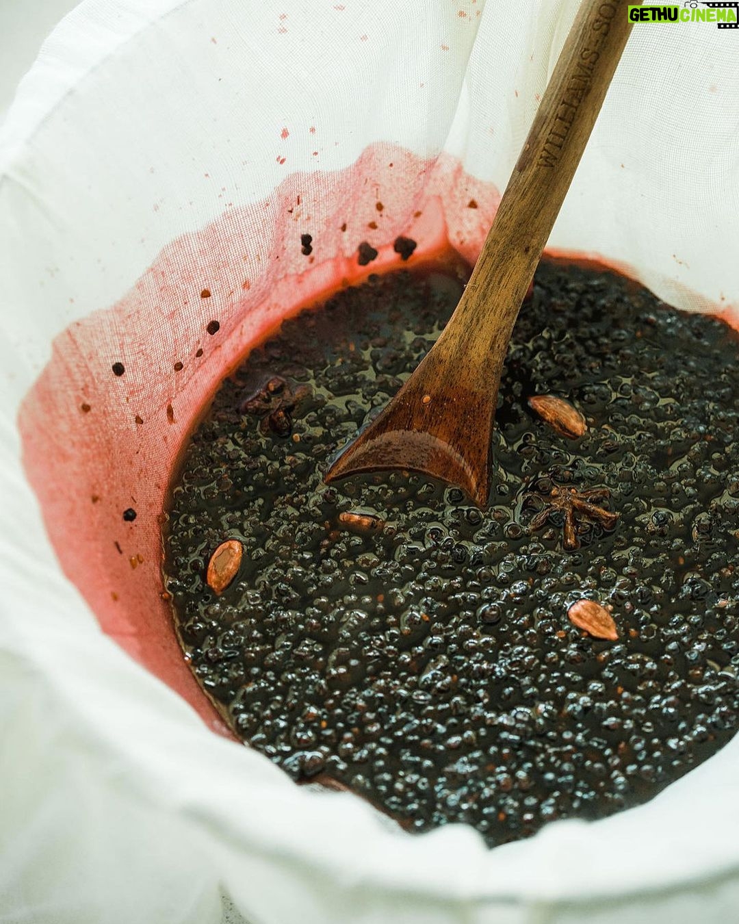 Tiffani Thiessen Instagram - Last Elderberry season I went straight for making elderberry jam and simple syrup. This year… ??? So, I’m all ears. Comment with ideas. I’m getting inspo on the internet as I type this.