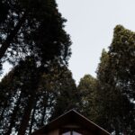 Tiffani Thiessen Instagram - My little cabin in the woods Sequoia National Forest