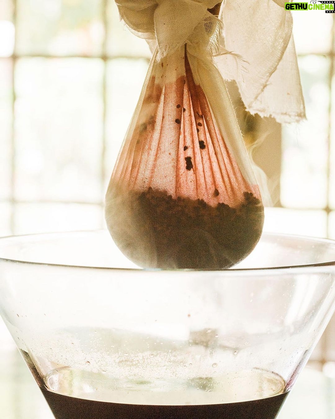 Tiffani Thiessen Instagram - Last Elderberry season I went straight for making elderberry jam and simple syrup. This year… ??? So, I’m all ears. Comment with ideas. I’m getting inspo on the internet as I type this.