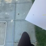 Tiffany Haddish Instagram -