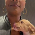 Tiffany Haddish Instagram - I did a show last night and @sgar_md brought some puppies that need a home to the show. They call it puppy therapy It was great and if this was the end of the tour I would have took one home. Please check them out these puppies need loving families. #fullyloadedtour #sheready #bertkreischer #puppytherapy