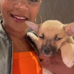 Tiffany Haddish Instagram - I did a show last night and @sgar_md brought some puppies that need a home to the show. They call it puppy therapy It was great and if this was the end of the tour I would have took one home. Please check them out these puppies need loving families. #fullyloadedtour #sheready #bertkreischer #puppytherapy