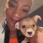 Tiffany Haddish Instagram - I did a show last night and @sgar_md brought some puppies that need a home to the show. They call it puppy therapy It was great and if this was the end of the tour I would have took one home. Please check them out these puppies need loving families. #fullyloadedtour #sheready #bertkreischer #puppytherapy