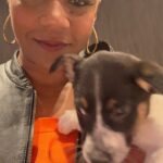 Tiffany Haddish Instagram - I did a show last night and @sgar_md brought some puppies that need a home to the show. They call it puppy therapy It was great and if this was the end of the tour I would have took one home. Please check them out these puppies need loving families. #fullyloadedtour #sheready #bertkreischer #puppytherapy