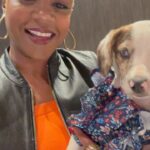 Tiffany Haddish Instagram - I did a show last night and @sgar_md brought some puppies that need a home to the show. They call it puppy therapy It was great and if this was the end of the tour I would have took one home. Please check them out these puppies need loving families. #fullyloadedtour #sheready #bertkreischer #puppytherapy