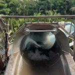 Tiffany Haddish Instagram - Slide with me and try not to get wet. Maui , Hawaii