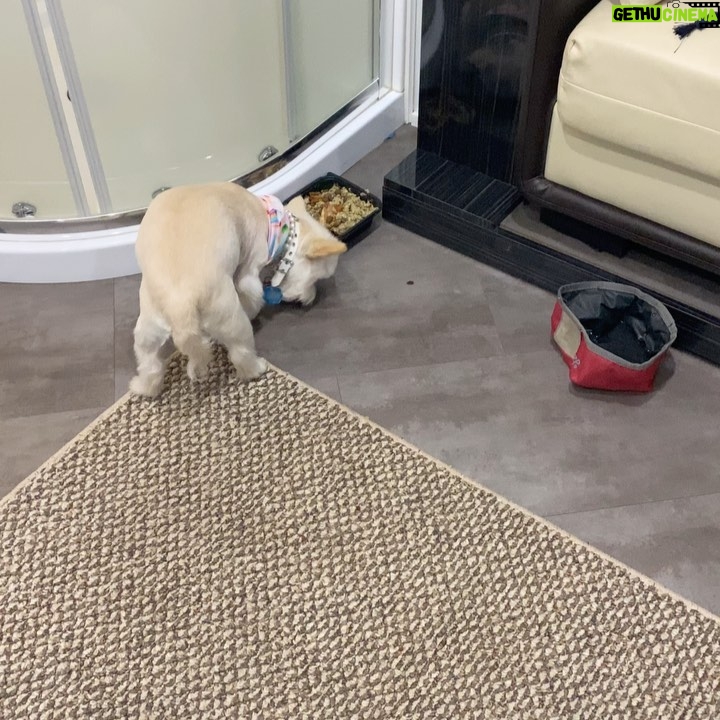 Tiffany Haddish Instagram - Does anyone know why she is doing this to her food? She has been doing it ever since her Big Sister passed away on January 1st. Does it have something to do with that or is she telling me something else? Idk π€·π½ββοΈ what it means. Please Help