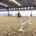 Tiffany Haddish Instagram - I miss this so much. I already know how to ride like a Cowboy but on this day I was learning how to ride like a lady.