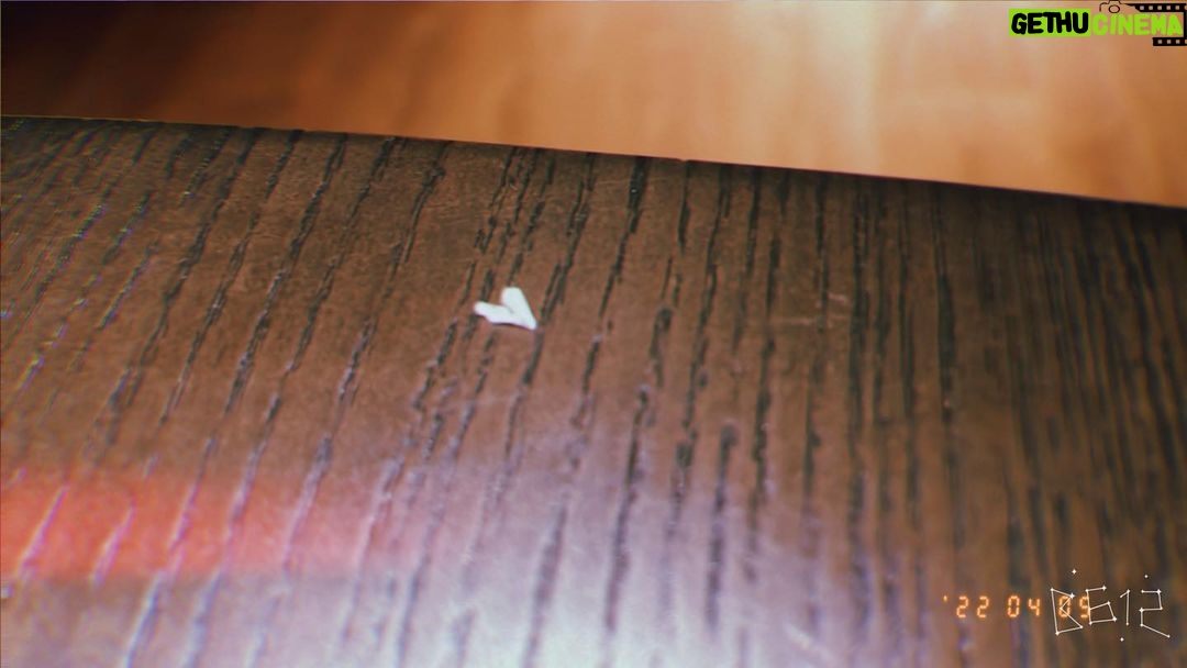 Tiffany Hsu Instagram - 游完泳 在桌上發現的小驚喜 本以為只是紙屑 用不同視野不同角度多細看, 看見很多美好都無時無刻在你身邊。morning #早安早安 #美好