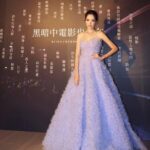 Tiffany Hsu Instagram - 第23屆台北電影節 #taipeiff #謝謝美麗團隊 化妝 葉曉菁 Nina Yeh 髮型 丁玉專 Amber Ting 禮服 Nicole + Felicia Couture