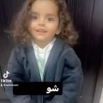 Tim Hassan Instagram - يخليكم الي ❤️ #الهيبة_جبل #صباح_اخوان #سامر_البرقاوي #تيم_حسن