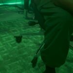 Timbaland Instagram – ITS OVER !!!!!!!!!🤣🤣🤣 AI is here !!!!!!