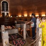 Tina Datta Instagram - On the sacred occasion of Mahashivratri, immerse yourself in the Divine energy that flows from the cosmic dance of Lord Shiva .. May the auspicious vibes of this occasion bring serenity, prosperity, and spiritual awakening in our lives.. Har Har Mahadev . . . #shiva #ShivaGirlForever #LoveForShiva Adiyogi Coimbatore