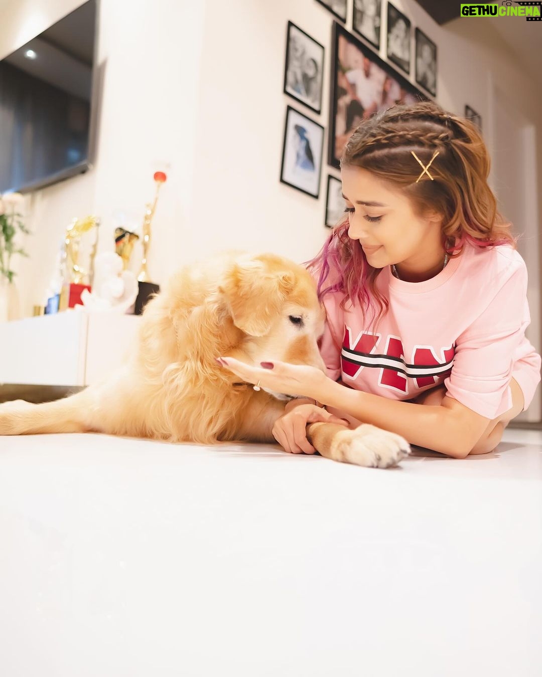 Tina Datta Instagram - Dinn hai Sunday, 🌞🌻⭐️ bahar hai light 💡 iss cutie ka saath ho toh lagta hai sab kuch alright 🤍 my lil sunshine makes my everyday oh so bright! 🦮🐕 . . @brunoranidatta #sundayfunday #sundayvibes #fyp #dogsofinstagram #petlovers #tinadatta