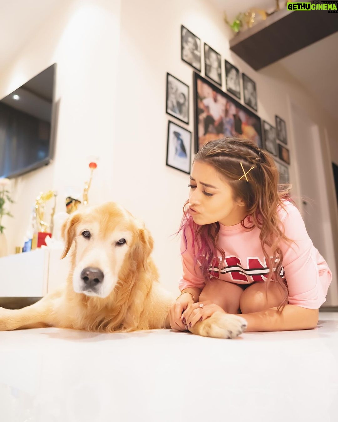 Tina Datta Instagram - Dinn hai Sunday, 🌞🌻⭐️ bahar hai light 💡 iss cutie ka saath ho toh lagta hai sab kuch alright 🤍 my lil sunshine makes my everyday oh so bright! 🦮🐕 . . @brunoranidatta #sundayfunday #sundayvibes #fyp #dogsofinstagram #petlovers #tinadatta