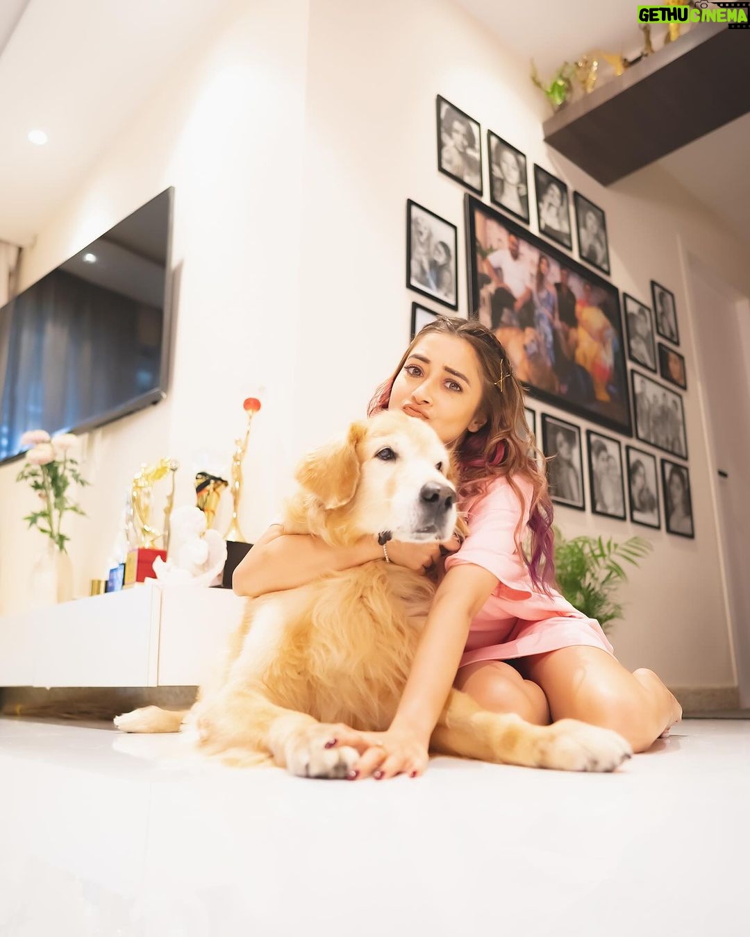 Tina Datta Instagram - Dinn hai Sunday, 🌞🌻⭐️ bahar hai light 💡 iss cutie ka saath ho toh lagta hai sab kuch alright 🤍 my lil sunshine makes my everyday oh so bright! 🦮🐕 . . @brunoranidatta #sundayfunday #sundayvibes #fyp #dogsofinstagram #petlovers #tinadatta