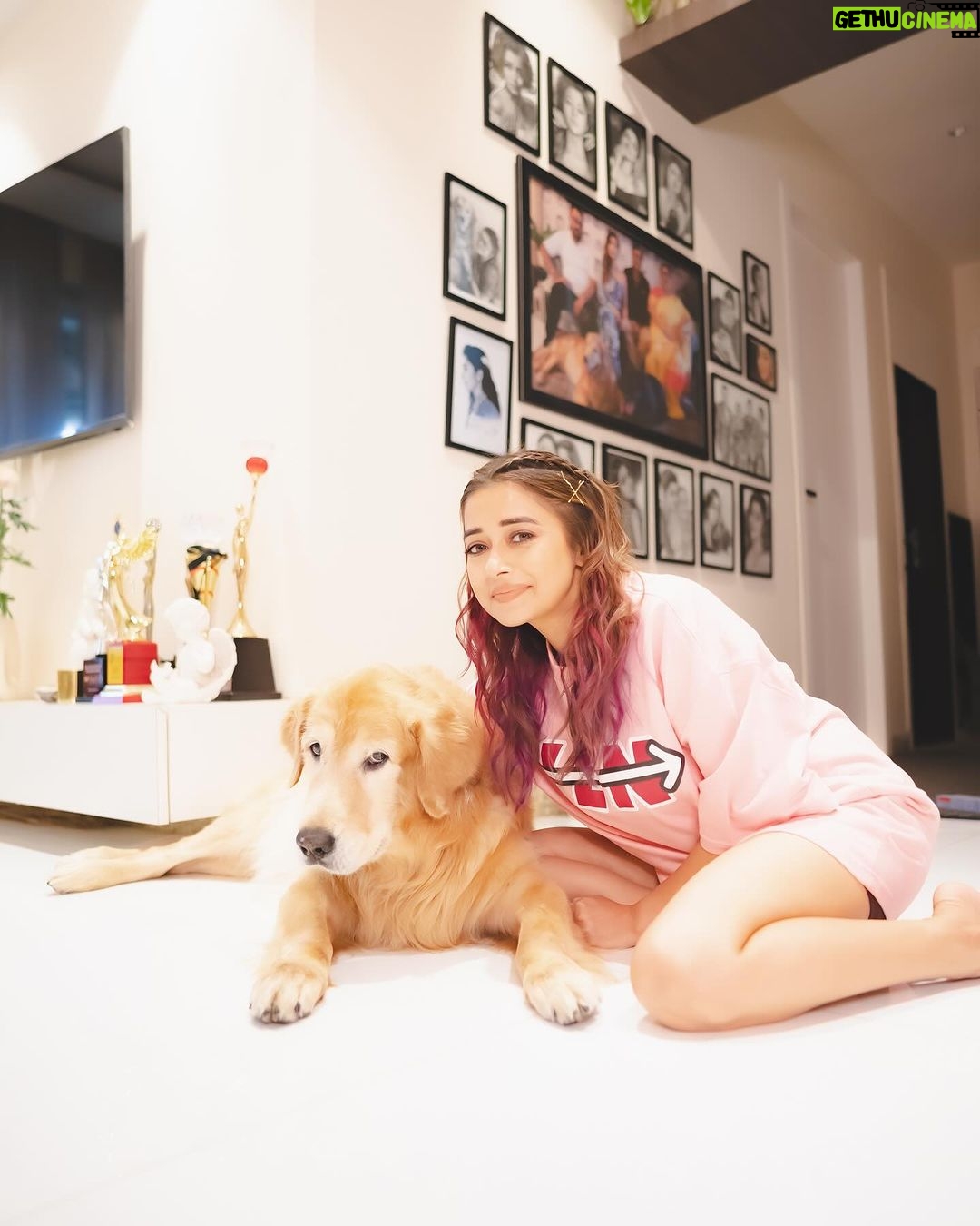 Tina Datta Instagram - Dinn hai Sunday, 🌞🌻⭐️ bahar hai light 💡 iss cutie ka saath ho toh lagta hai sab kuch alright 🤍 my lil sunshine makes my everyday oh so bright! 🦮🐕 . . @brunoranidatta #sundayfunday #sundayvibes #fyp #dogsofinstagram #petlovers #tinadatta