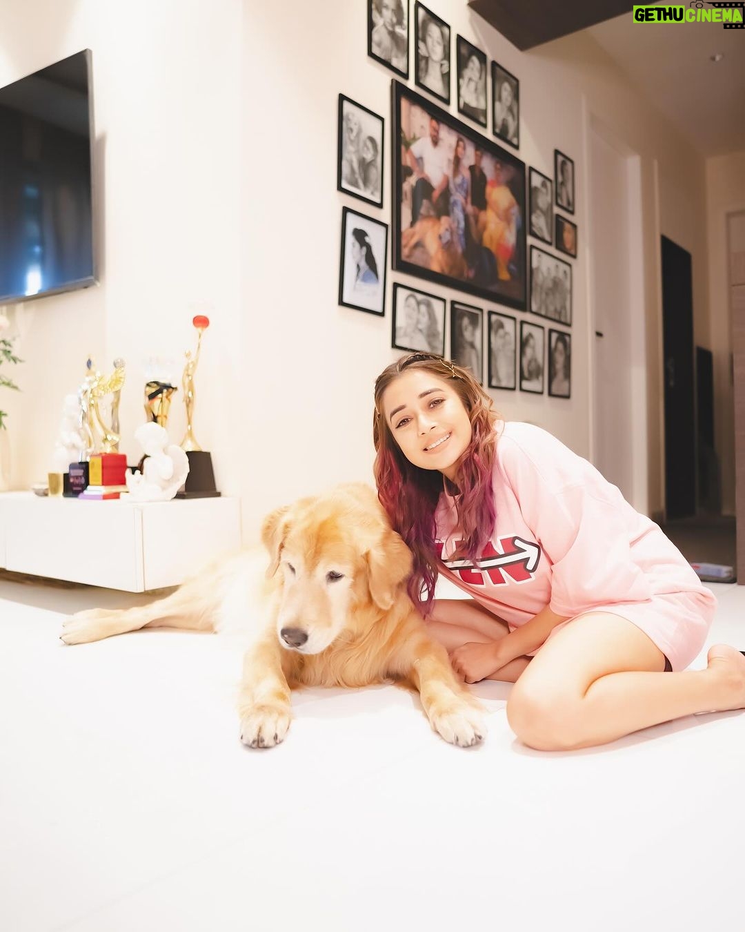 Tina Datta Instagram - Dinn hai Sunday, 🌞🌻⭐️ bahar hai light 💡 iss cutie ka saath ho toh lagta hai sab kuch alright 🤍 my lil sunshine makes my everyday oh so bright! 🦮🐕 . . @brunoranidatta #sundayfunday #sundayvibes #fyp #dogsofinstagram #petlovers #tinadatta