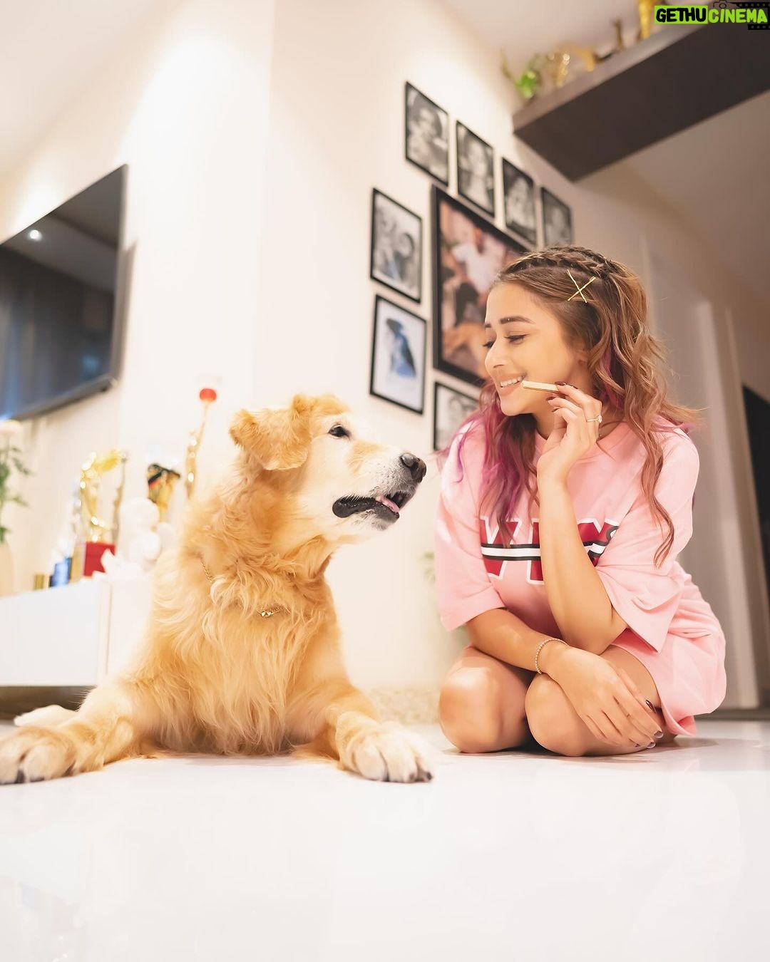 Tina Datta Instagram - Dinn hai Sunday, 🌞🌻⭐️ bahar hai light 💡 iss cutie ka saath ho toh lagta hai sab kuch alright 🤍 my lil sunshine makes my everyday oh so bright! 🦮🐕 . . @brunoranidatta #sundayfunday #sundayvibes #fyp #dogsofinstagram #petlovers #tinadatta