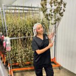 Tinashe Instagram - My babies first grow looking healthy 👀 Green T coming summer 24 💚