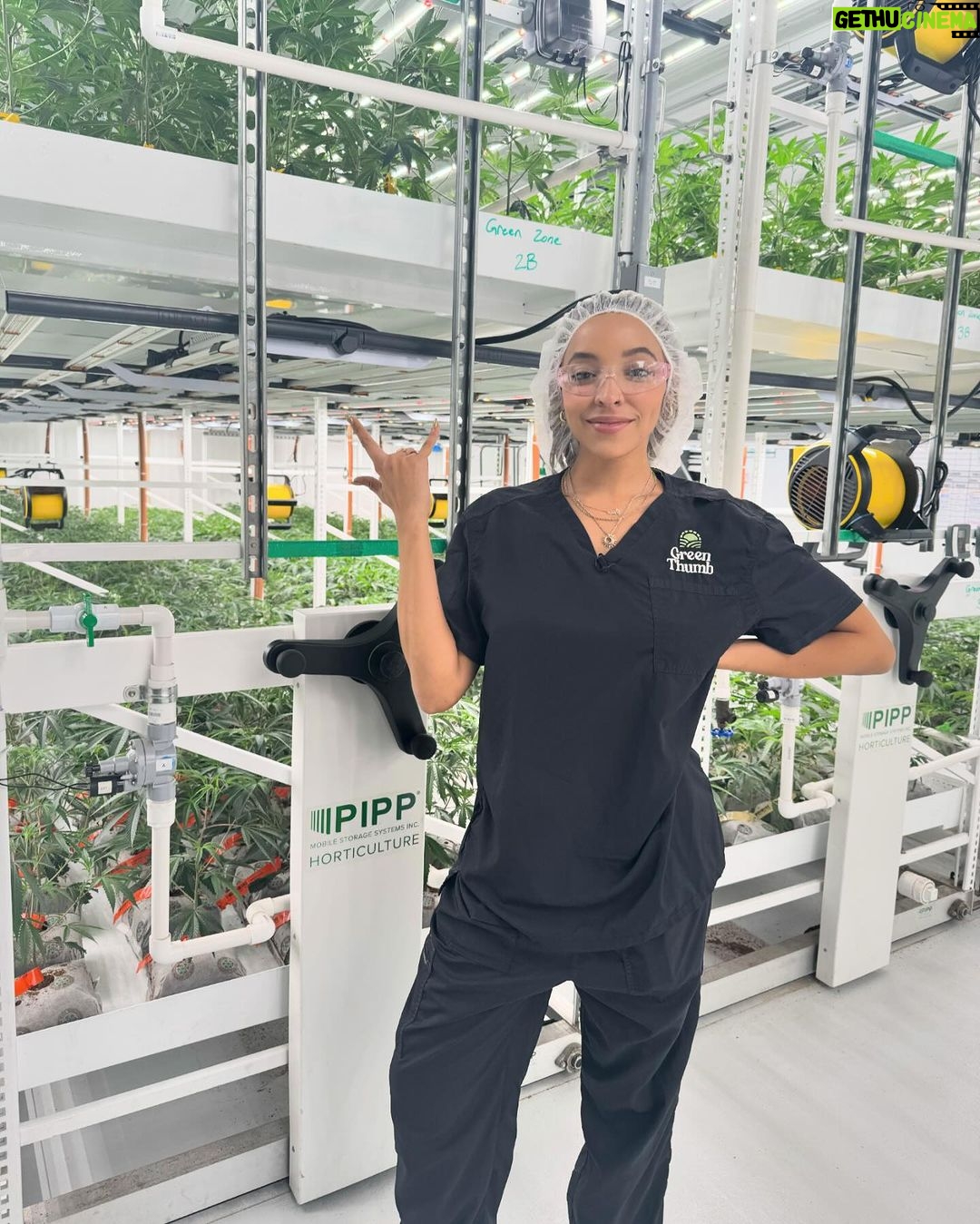 Tinashe Instagram - My babies first grow looking healthy 👀 Green T coming summer 24 💚