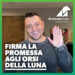 Tiziano Ferro Instagram – Aiutare gli animali è sempre stato importante nella mia vita. Ho salvato e adottato molti cani bisognosi, e ora voglio aiutare quei bellissimi orsi della luna, vittime della crudele industria delle fattorie della bile che li sta portando verso l’estinzione. Sostengo @AnimalsAsia perché si sono impegnati a salvare tutti gli orsi spezzati, ancora imprigionati nelle fattorie. Ma hanno bisogno di aiuto. Firmate la petizione per gli orsi della luna. Insieme possiamo salvarli tutti.
 
Helping animals has always been a big part of my life, I have adopted many dogs in need and now I am helping the beautiful moon bear victim of the cruel bear bile farming industry that is pushing them to the edge of extinction in Vietnam. I have pledged my support for Animals Asia because they are going to rescue all the remaining bears still trapped in farms across Vietnam, but they need help. Please sign the moon bear pledge. Raise your paw for the moon bear. Together we can save them all.

Ayudar a los animales siempre ha sido importante en mi vida. He rescatado y adoptado a muchos perros necesitados, y ahora quiero ayudar a estos hermosos osos luna víctimas de la cruel industria de la bilis de oso que los está llevando a la extinción. Apoyo a @AnimalsAsia porque están comprometidos a rescatar a todos los osos lunas que aún están sufriendo en jaulas en granjas de bilis en Vietnam. Pero necesitan ayuda. Firma la petición de los osos luna. Juntos podemos salvarlos a todos. 
 
#RaiseYourPaw LINK in Story