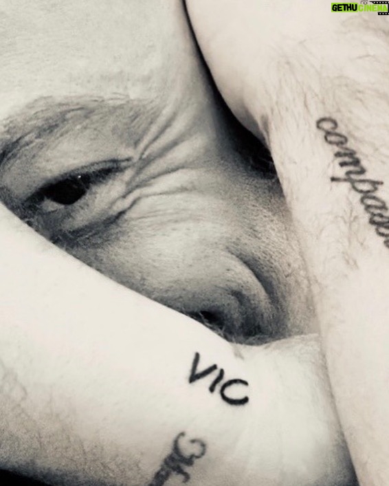 Tiziano Ferro - 89.2K Likes - “Ai tatuaggi come scudo sulle vene...”💜
@vicallenla “Tattooed like a shield under my skin...”💜
“Tatuado como un escudo debajo de mi piel...” 💜
#ildestinodichivisseperamare
#foreverundermyskin
#scrittosullapelle