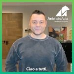 Tiziano Ferro Instagram - Aiutare gli animali è sempre stato importante nella mia vita. Ho salvato e adottato molti cani bisognosi, e ora voglio aiutare quei bellissimi orsi della luna, vittime della crudele industria delle fattorie della bile che li sta portando verso l’estinzione. Sostengo @AnimalsAsia perché si sono impegnati a salvare tutti gli orsi spezzati, ancora imprigionati nelle fattorie. Ma hanno bisogno di aiuto. Firmate la petizione per gli orsi della luna. Insieme possiamo salvarli tutti. Helping animals has always been a big part of my life, I have adopted many dogs in need and now I am helping the beautiful moon bear victim of the cruel bear bile farming industry that is pushing them to the edge of extinction in Vietnam. I have pledged my support for Animals Asia because they are going to rescue all the remaining bears still trapped in farms across Vietnam, but they need help. Please sign the moon bear pledge. Raise your paw for the moon bear. Together we can save them all. Ayudar a los animales siempre ha sido importante en mi vida. He rescatado y adoptado a muchos perros necesitados, y ahora quiero ayudar a estos hermosos osos luna víctimas de la cruel industria de la bilis de oso que los está llevando a la extinción. Apoyo a @AnimalsAsia porque están comprometidos a rescatar a todos los osos lunas que aún están sufriendo en jaulas en granjas de bilis en Vietnam. Pero necesitan ayuda. Firma la petición de los osos luna. Juntos podemos salvarlos a todos. #RaiseYourPaw LINK in Story