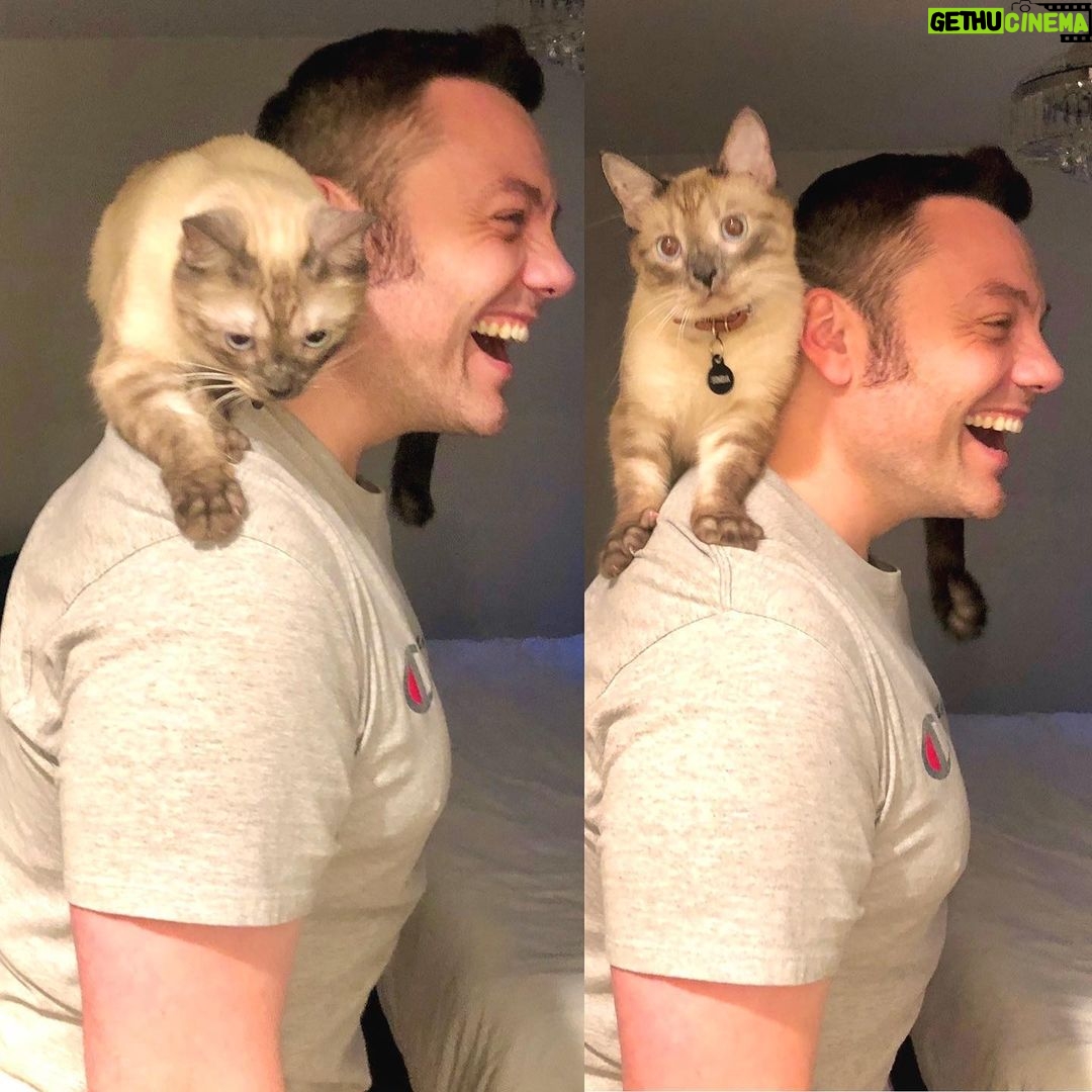Tiziano Ferro - 94.2K Likes - 𝐀𝐟𝕗𝕖𝕝𝕚𝕟𝕚𝐭𝐚´ 𝐄𝐥𝐞𝐭𝐭𝐢𝐯𝐞
ᴘʜ: @enricadentedegliscrovegni
ᴄᴀᴛ ᴍᴀᴍᴀ: @biancabalti
@codedicasa #codedicasa
@chancefordogs
@LAV_ITALIA
@associazionerandagidelsud
@enpaonlus
@gliamicidielsaeniky_fragagnano
@gliamicideirandagi
@unitiperloro
@petrescueitaliaonlus
@unanimamillezampe
@4_zampe_rescue_albania
@adottauncanedalsud
@apriunagabbia
@luisa.toledo.37
@amara.onlus
@_maipiurandagio_amicidibobo_