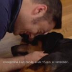 Tiziano Ferro Instagram - È un onore enorme essere stato scelto dal Ministero per rappresentare questo magnifico progetto, a favore della promozione dei diritti dei nostri splendidi amici. Scopri il progetto del Ministero su 𝙘𝙤𝙙𝙚𝙙𝙞𝙘𝙖𝙨𝙖.𝙞𝙩 - So glad the Ministry asked me to be part of this beautiful venture. Together for our angels’ right. 𝙘𝙤𝙙𝙚𝙙𝙞𝙘𝙖𝙨𝙖.𝙞𝙩 - Tan feliz de ser parte de esta iniciativa del Ministerio, para apoyar los derechos de nuestros ángeles. 𝙘𝙤𝙙𝙚𝙙𝙞𝙘𝙖𝙨𝙖.𝙞𝙩 - @chancefordogs @LAV_ITALIA @associazionerandagidelsud @enpaonlus @gliamicidielsaeniky_fragagnano @gliamicideirandagi @unitiperloro @petrescueitaliaonlus @unanimamillezampe @4_zampe_rescue_albania @adottauncanedalsud @apriunagabbia @luisa.toledo.37 @amara.onlus @_maipiurandagio_amicidibobo_