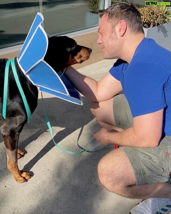 Tiziano Ferro - 277.1K Likes - Ringrazio di cuore i veterinari che ci hanno permesso di vedere Beau per 5 minuti oggi, portandolo fuori dalla struttura.
Anche oggi non tornerà a casa.Stiamo aspettando i risultati del trasfusione.
Non so cosa faremmo senza l’amore che stiamo ricevendo, non lo so.
GrAzie di cuore.
-
They let us see Beau for 5 mins.
He won’t be coming back today ,we still need to see if the blood transfusion results will remain stable.
I don’t know what we would do without all the love we’re recieving, I just don’t know @vicallenla
—
Gracias a los veterinarios que nos dejaron ver Beau 5 minutos. No hay vuelta a casa todavía, estamos esperando el resultado de la transfusión.
No se que haríamos sin todo el amor que estamos recibiendo, la verdad no se.
Gracias
@chancefordogs
@LAV_ITALIA
@associazionerandagidelsud
@enpaonlus
@gliamicidielaaeniki_fragagnano
@gliamicideirandagi
@unitiperloro
@petrescueitaliaonlus
@unanimamillezampe
@4_zampe_rescue_albania
@adottauncanedalsud
@apriunagabbia
@luisa.toledo.37
@amara.onlus
