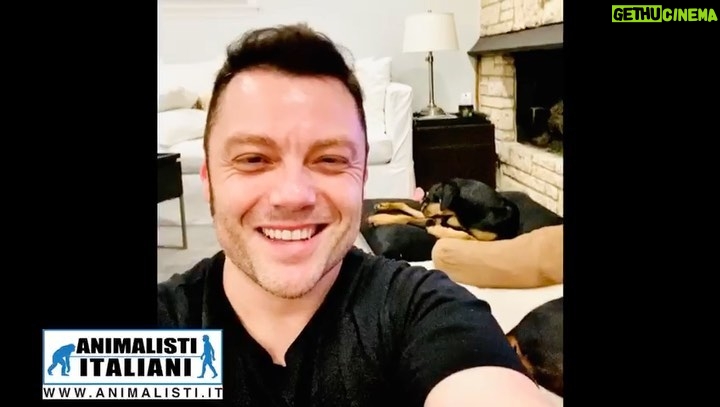 Tiziano Ferro Instagram - 𝘾.𝙊.𝙉.𝘿.𝙄.𝙑.𝙄.𝘿.𝙀.𝙏.𝙀. #nonabbandoniamoli @animalisti_italiani Www.animalisti.it