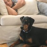 Tiziano Ferro Instagram - Beau: il mio BODYGUARD 💙 Se potete adottate un cane adulto. Quanta gratitudine, quanto amore. — Beau: my bodyguard ♥️ Adopt an older dog if you can. So much gratitude, so much love. — Beau: mi guardaespaldas 🥰 Si pueden, adopten un perro mayor. Cuanta gratitud, cuanto amor. @chancefordogs @LAV_ITALIA @associazionerandagidelsud @enpaonlus @gliamicidielaaeniki_fragagnano @gliamicideirandagi @unitiperloro @petrescueitaliaonlus @unanimamillezampe @4_zampe_rescue_albania @adottauncanedalsud @apriunagabbia @luisa.toledo.37 @amara.onlus PH: @vicallenla