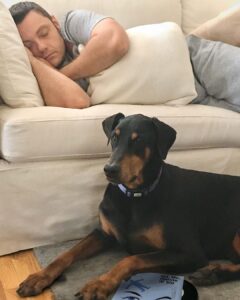Tiziano Ferro Instagram - Beau: il mio BODYGUARD 💙 Se potete adottate un cane adulto. Quanta gratitudine, quanto amore. — Beau: my bodyguard ♥️ Adopt an older dog if you can. So much gratitude, so much love. — Beau: mi guardaespaldas 🥰 Si pueden, adopten un perro mayor. Cuanta gratitud, cuanto amor. @chancefordogs @LAV_ITALIA @associazionerandagidelsud @enpaonlus @gliamicidielaaeniki_fragagnano @gliamicideirandagi @unitiperloro @petrescueitaliaonlus @unanimamillezampe @4_zampe_rescue_albania @adottauncanedalsud @apriunagabbia @luisa.toledo.37 @amara.onlus PH: @vicallenla
