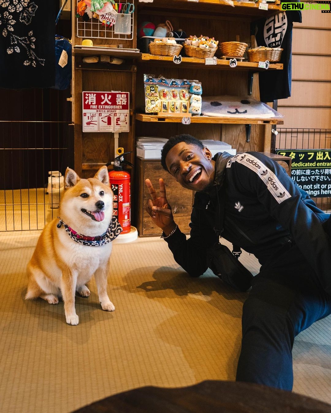 Tobi Brown Instagram - Japan was a whole vibe 🇯🇵 Which one is your fave - 1, 2 3 or 4? 👀 Tokyo, Japan