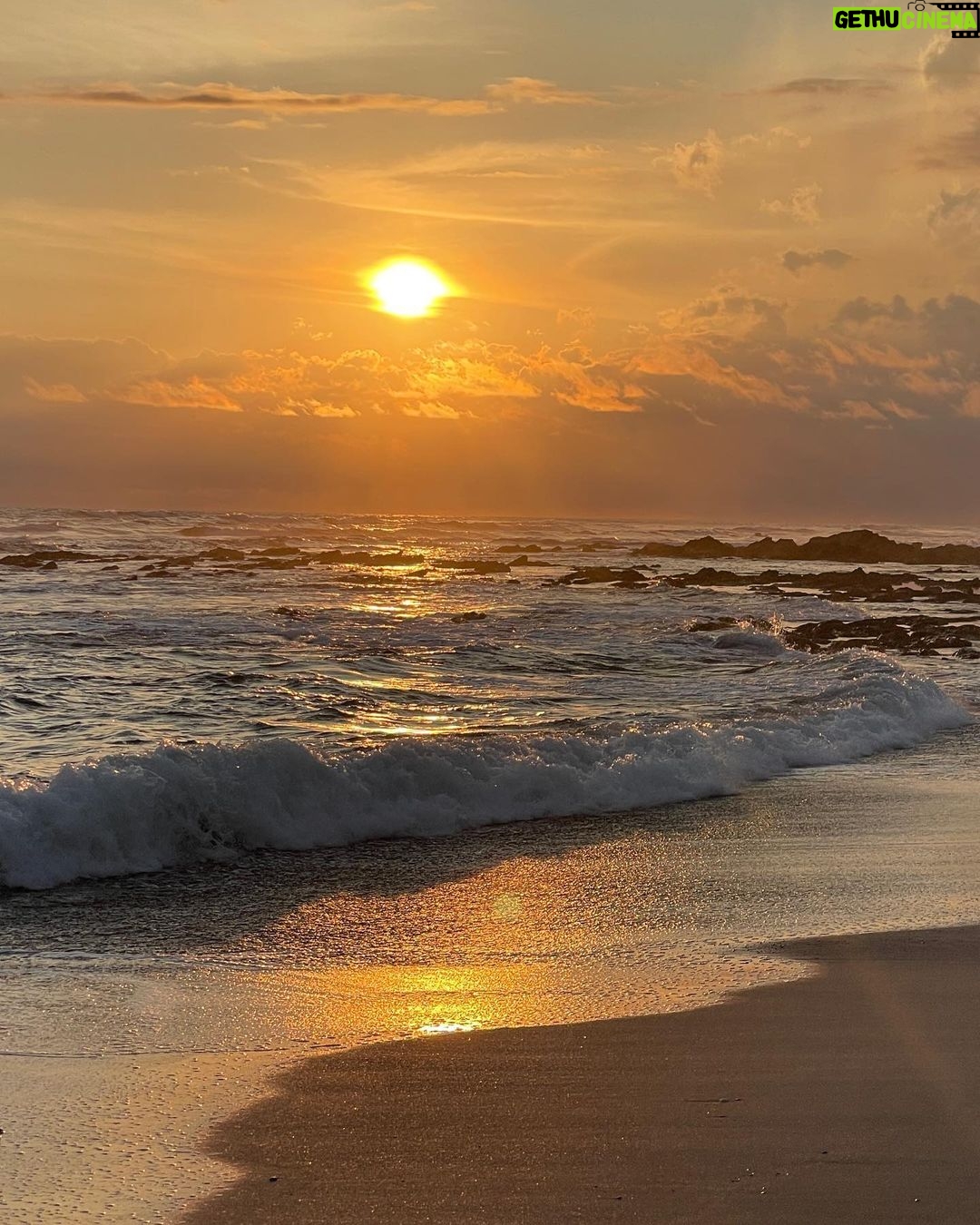 Todd Smith Instagram - πΈπ¨π¨π¨π¨π¨π¨π¨π€π¦ Florblanca Resort - Santa Theresa, Costa Rica