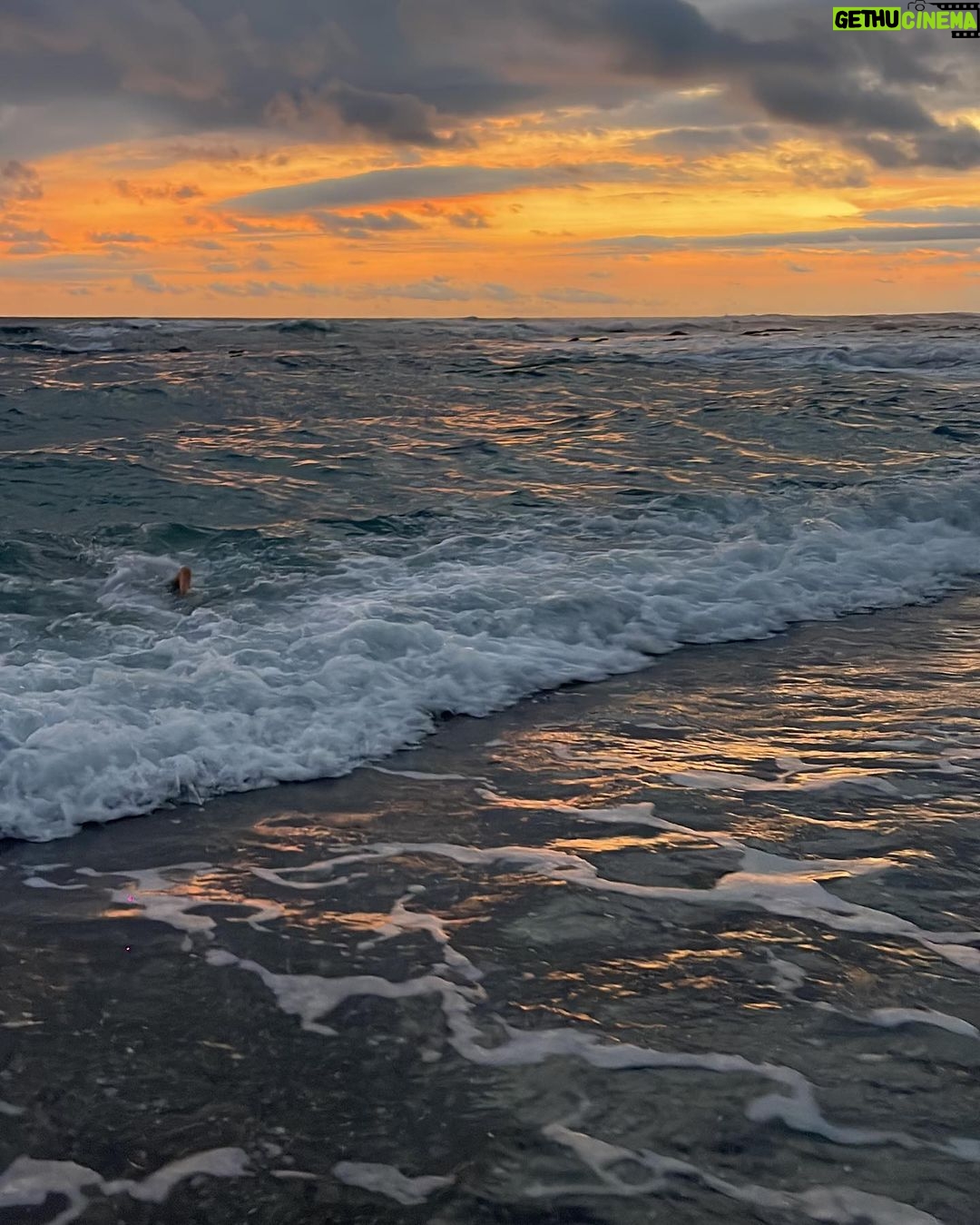 Todd Smith Instagram - πΈπ¨π¨π¨π¨π¨π¨π¨π€π¦ Florblanca Resort - Santa Theresa, Costa Rica