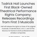 Todrick Hall Instagram - Thank you @officialbroadwayworld for the lovely article! I’m blown away that this dream of mine is finally coming true! This week on Tuesday the first album “Cinderella Rock!” drops featuring @cynthiaerivo @_solaylay @nicolescherzinger @adampascal @taylizlou @laurabellbundy @jordinsparks @jadenovah @mrcheyennejackson @shobean @teresadianestanley and more… *To find out how you can license @todrickhallmusicals visit TodrickHallMusicals.com Los Angeles, California