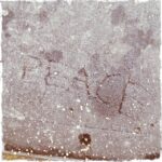 Tom Cavanagh Instagram - #NeverForget NYC sidewalk, written in stone. #NYC