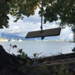 Tom Cavanagh Instagram - Swing Over Vancouver #VancouverShowingOff