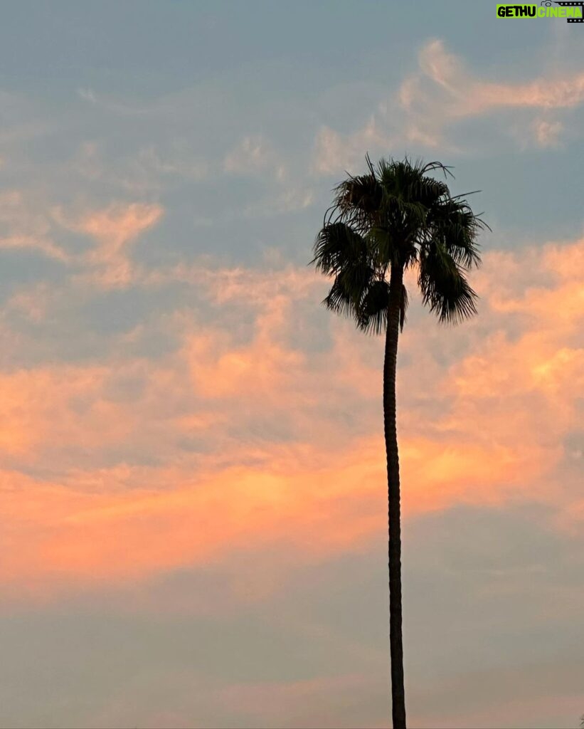 Tom Daley Instagram - 🌴 Los Angeles, California