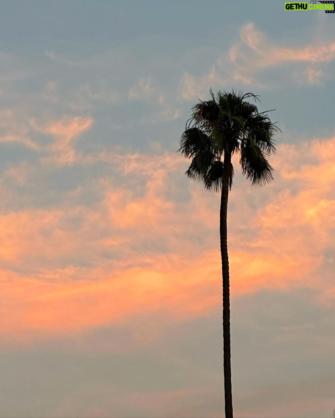 Tom Daley Instagram - 🌴 Los Angeles, California