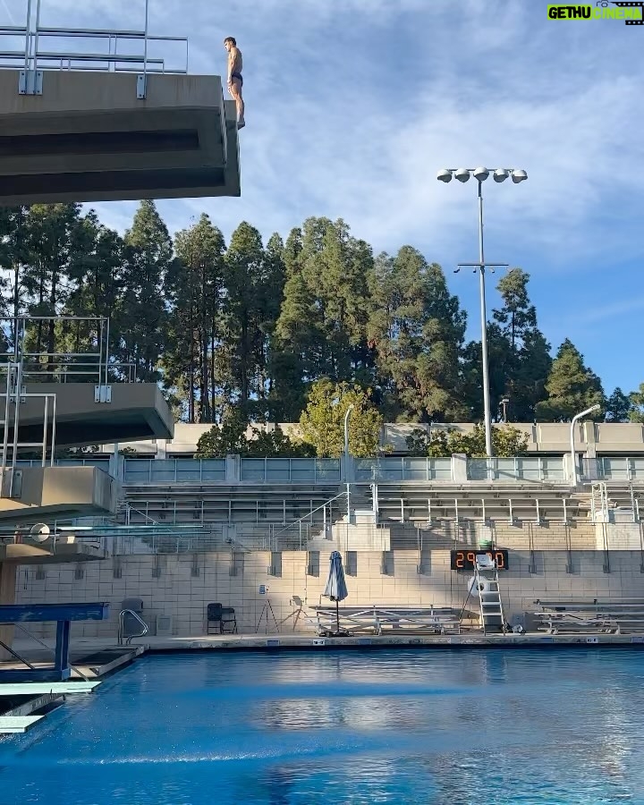 Tom Daley - 131.7K Likes - Dive in… 💦